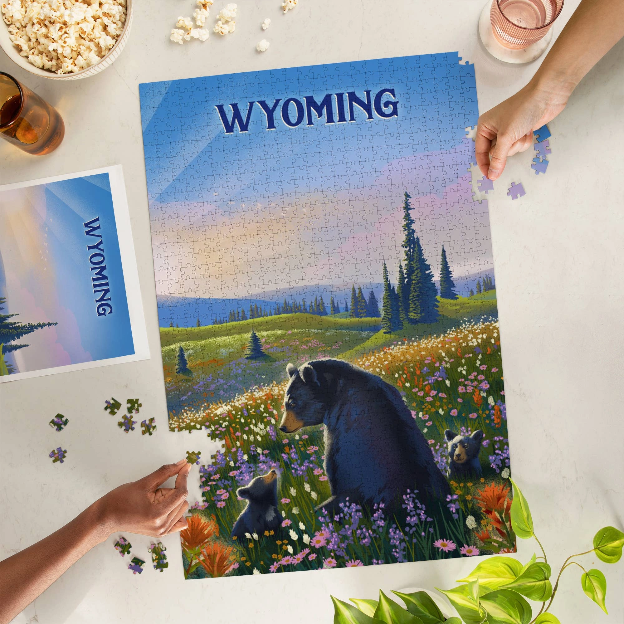 1000 Piece WYO Puzzle