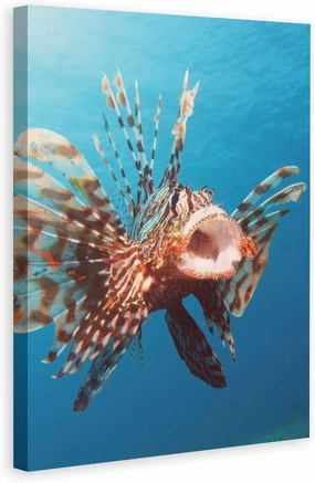500 Piece Jigsaw Puzzles Water Fish Red Lionfish Prettier Wooden Puzzle for Adults and Kids Development Toys Games Gift