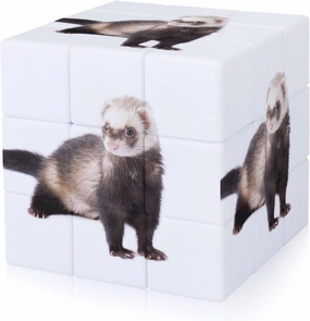 Cute Ferret White Full Printing 3x3 Fidget Cube Stress Relief Magic Speed Cube for Adults