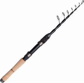 DAMFishing Rod