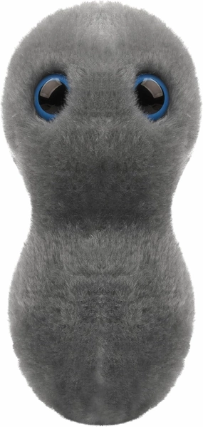 GIANTmicrobes Clap Plush, STIs, STDs, Medical Gifts, OBGYN Gifts for Doctors, Infection Prevention Gift, Infection Control Nurse, Medical Lab Technician Gift, Sex Education