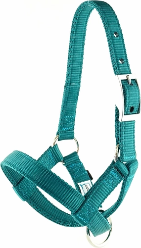 Goat Halter, S M L, XL, XL Buck, Made in USA, 23 Colors, Figure 8, Small, Medium, Large, Extra Large, Sheep Buck doe Kid Livestock (Royal Blue, X Large)