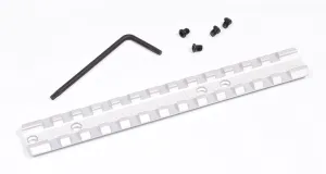 Hammers 10/22 10 22 10-22 Long Scope Rail Mount Picatinny Weaver Base Stainless Silver for Full Size Scope