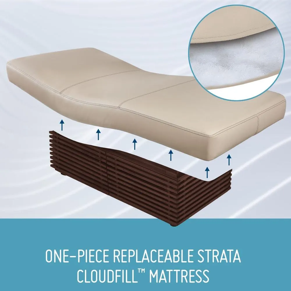 Insignia Modern Multi-Purpose Spa Treatment Table by Living Earth Crafts