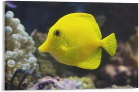 Jigsaw Puzzle 500 Piece Adult Puzzle Little Yellow Tang Fish Christmas Adult Kids Intelligence Game Toy Family Friend Puzzle Gift