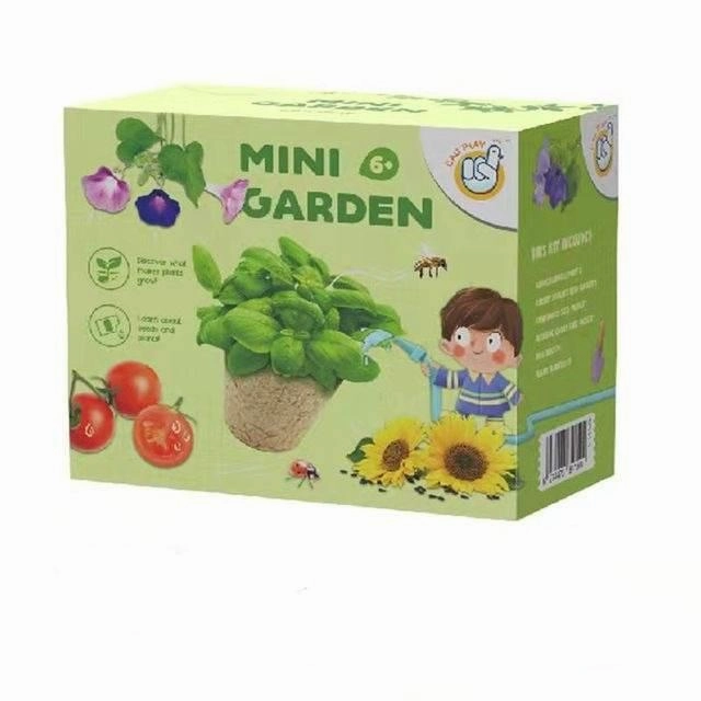 Kids Gardening Kit - Mini DIY Creative Garden Activity for Children