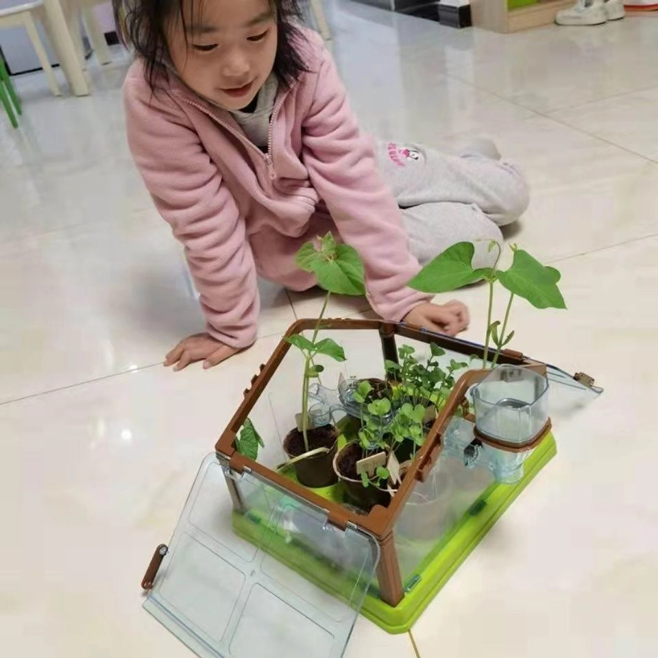 Kids Gardening Kit - Mini DIY Creative Garden Activity for Children
