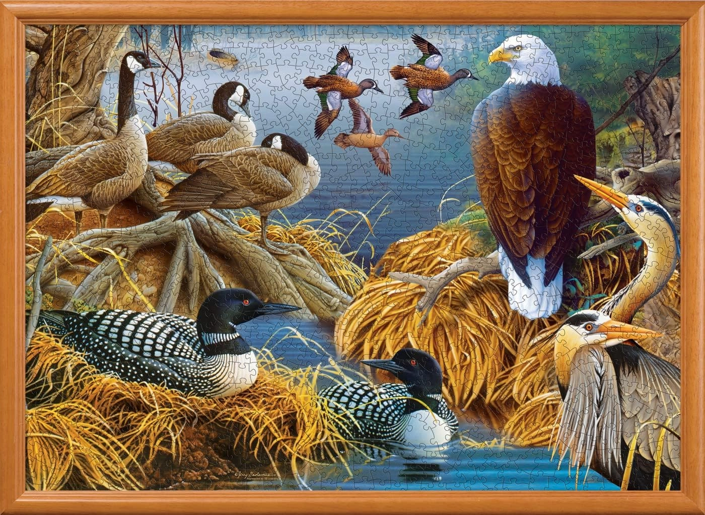 MasterPieces 1000 Piece Jigsaw Puzzle for Adults, Family, Or Youth - Lake Life - 19.25"x26.75"