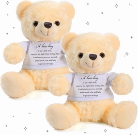 Meooeck 2 Pcs Little Bear Plush Stuffed Animal Sympathy Gifts Memory Bear with Hug Sign Funeral Gift for Kids Bereavement Comfort Child Loss of Loved One(Beige, White)