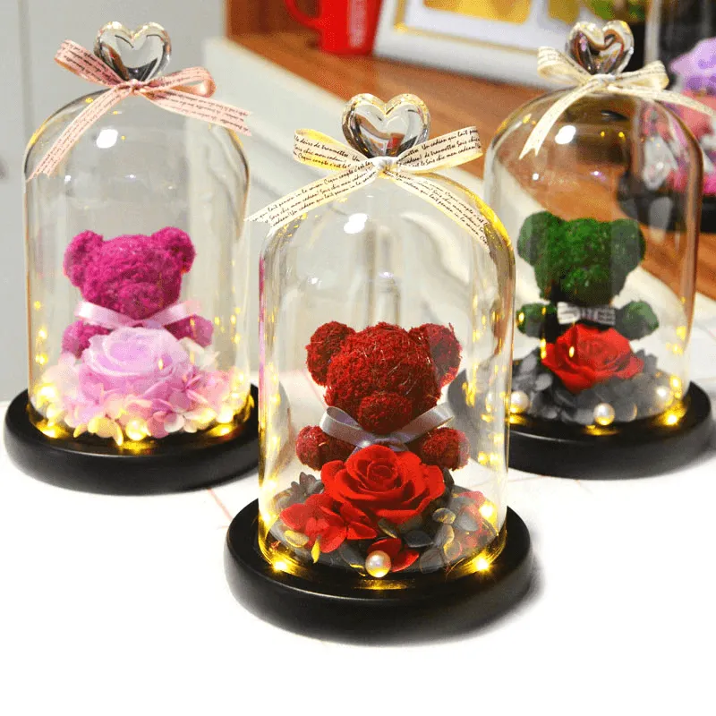 Preserved Rose Bear - LED Glass Dome  And Eternal Love in Bloom