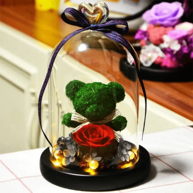 Preserved Rose Bear - LED Glass Dome  And Eternal Love in Bloom