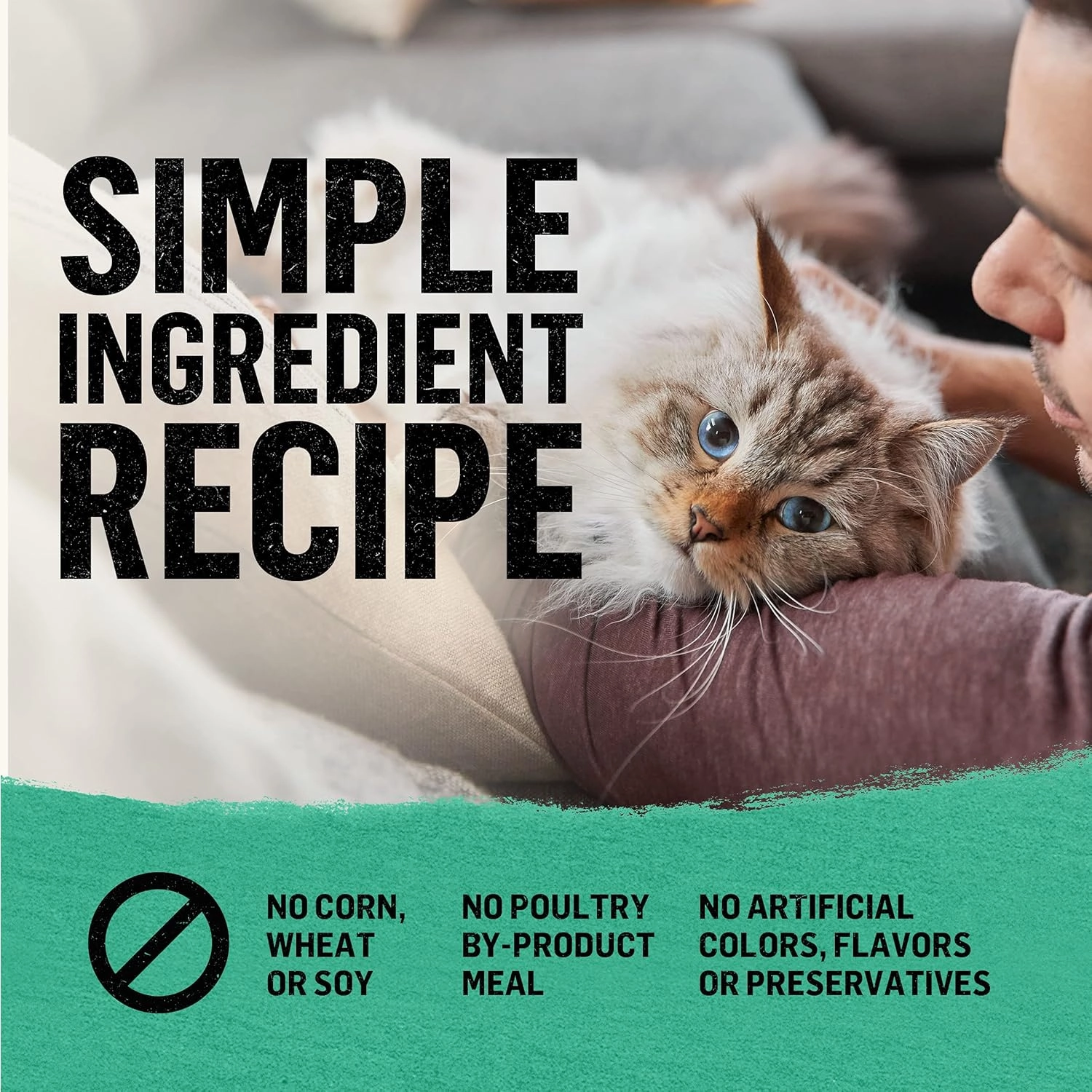 Purina Beyond Natural Grain Free Dry Cat Food Whitefish and Egg Recipe With Added Vitamins, Minerals and Nutrients - 11 lb. Bag