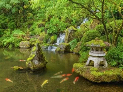 Puzzles 1000 Piece Portland Japanese Garden Pond Fish Carp - Large Puzzle Game Artwork for Adults Teens