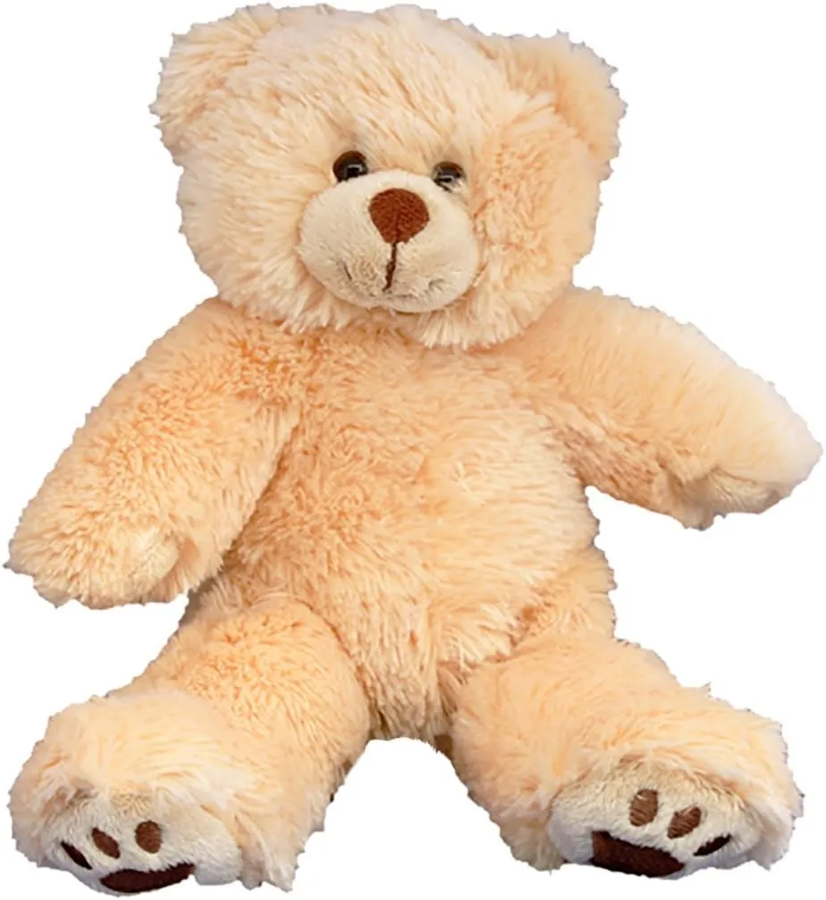 Recordable 8" Plush Furry the Brown Bear w/20 Second Digital Recorder for Special Messages, Rymes or Songs
