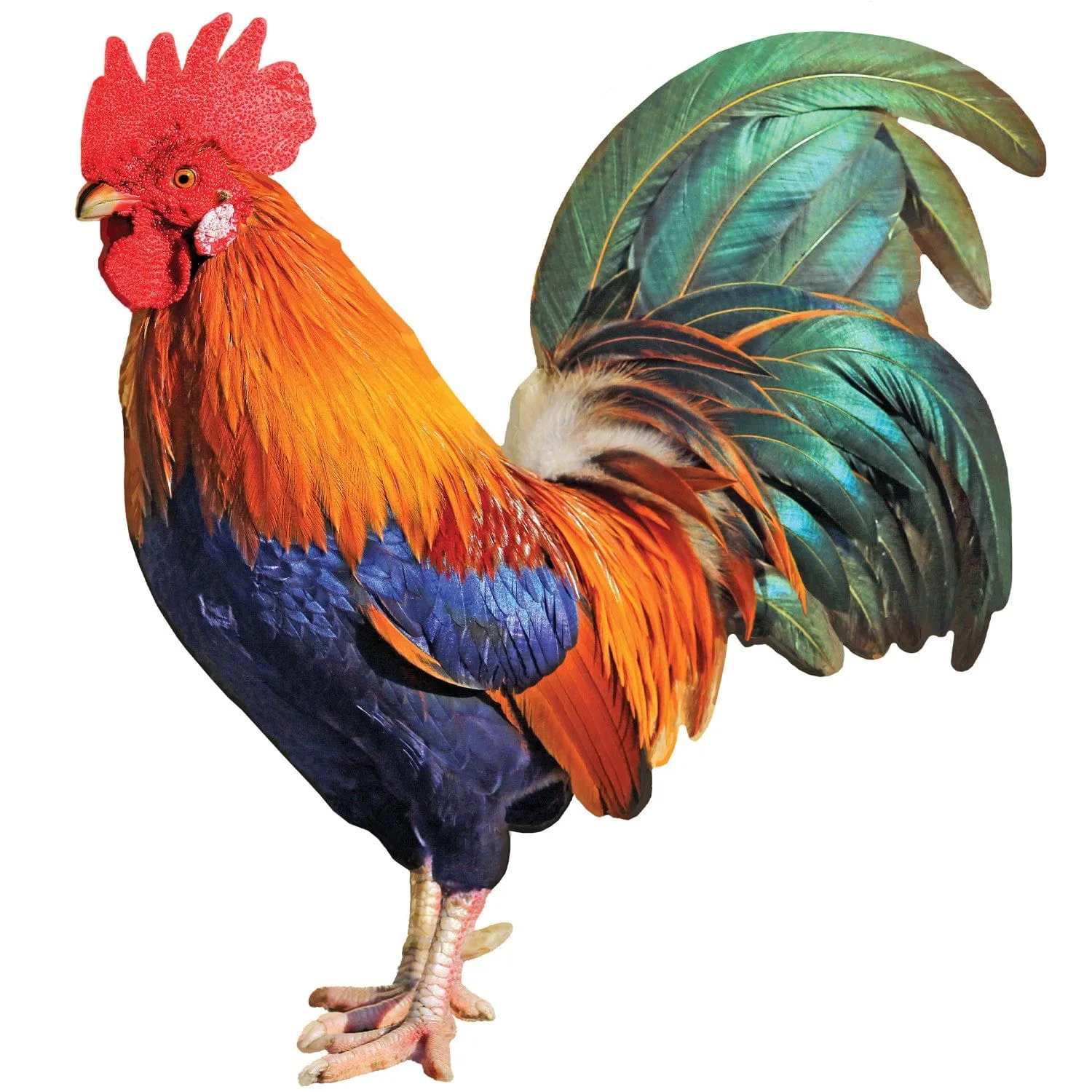 Rooster 100 Piece Shaped Jigsaw Puzzle