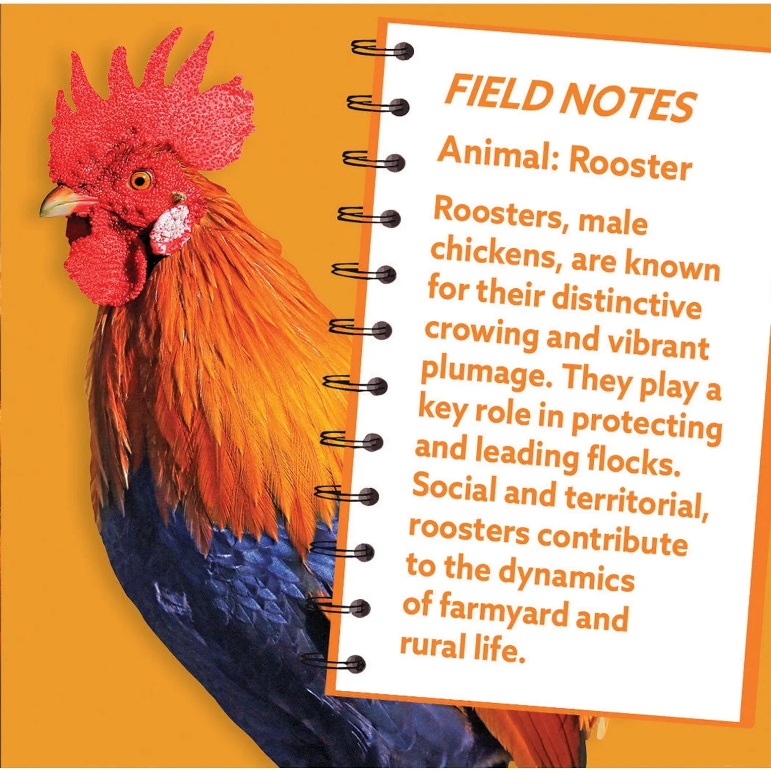 Rooster 100 Piece Shaped Jigsaw Puzzle